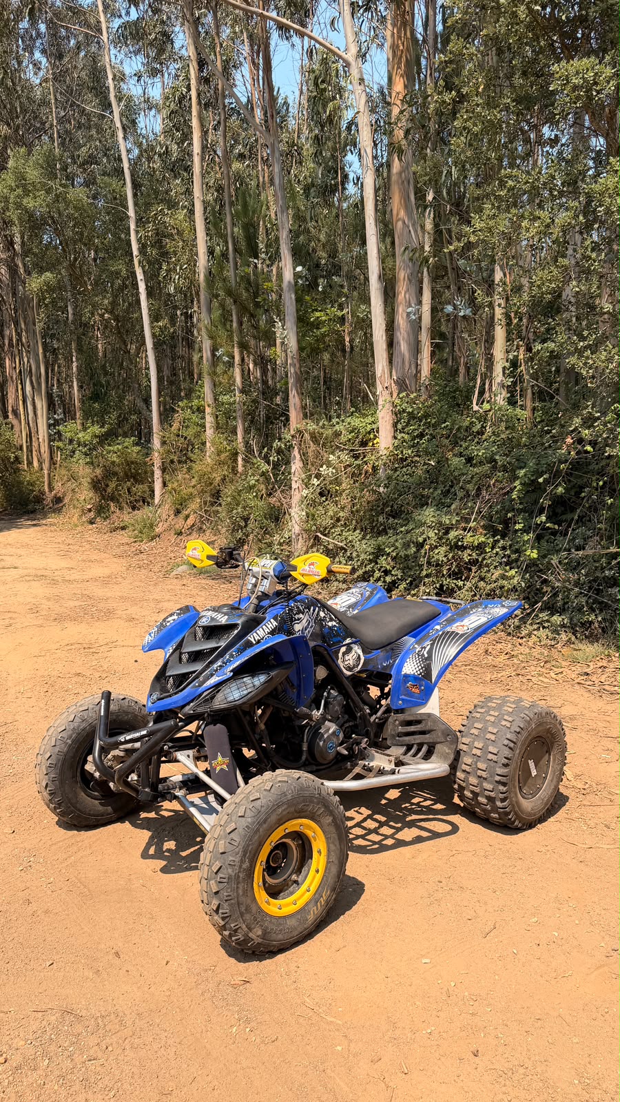 Yamaha Raptor 660R