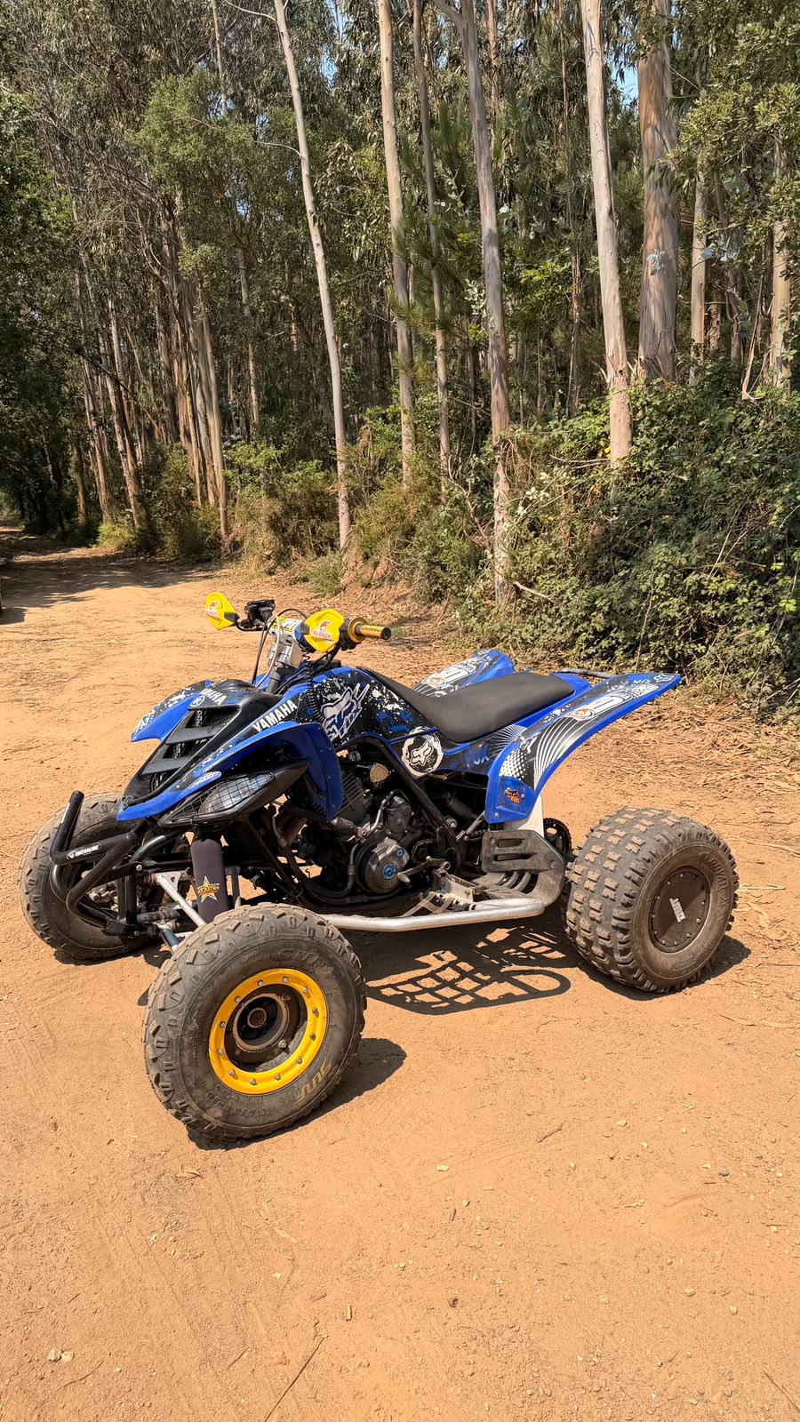 Yamaha Raptor 660R