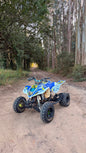Suzuki LTZ 400 2 LUGARES