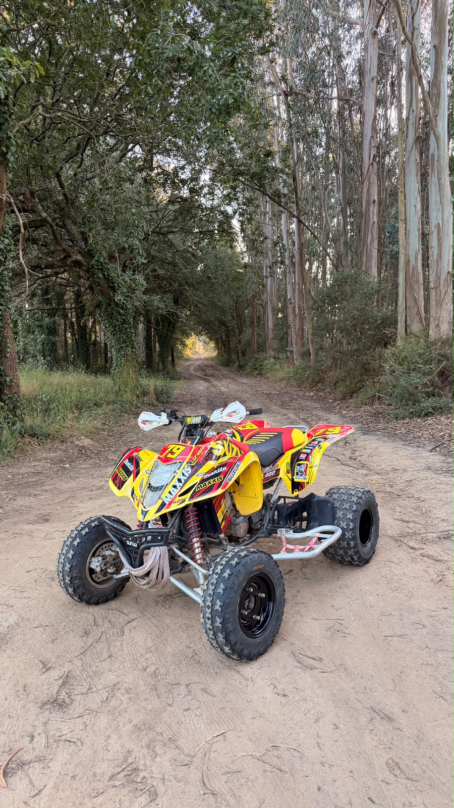Suzuki LTZ 400