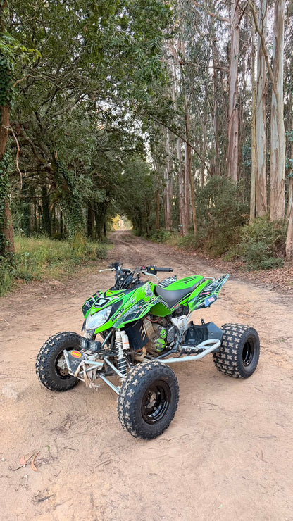Arctic Cat DVX 400
