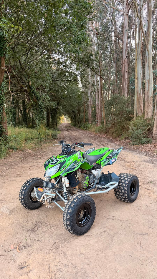 Arctic Cat DVX 400