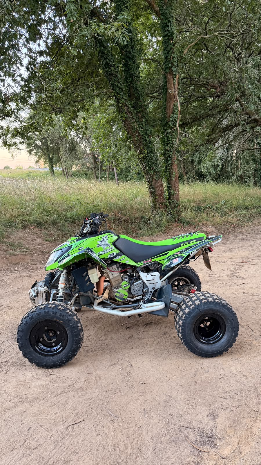 Arctic Cat DVX 400