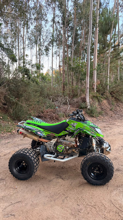 Arctic Cat DVX 400