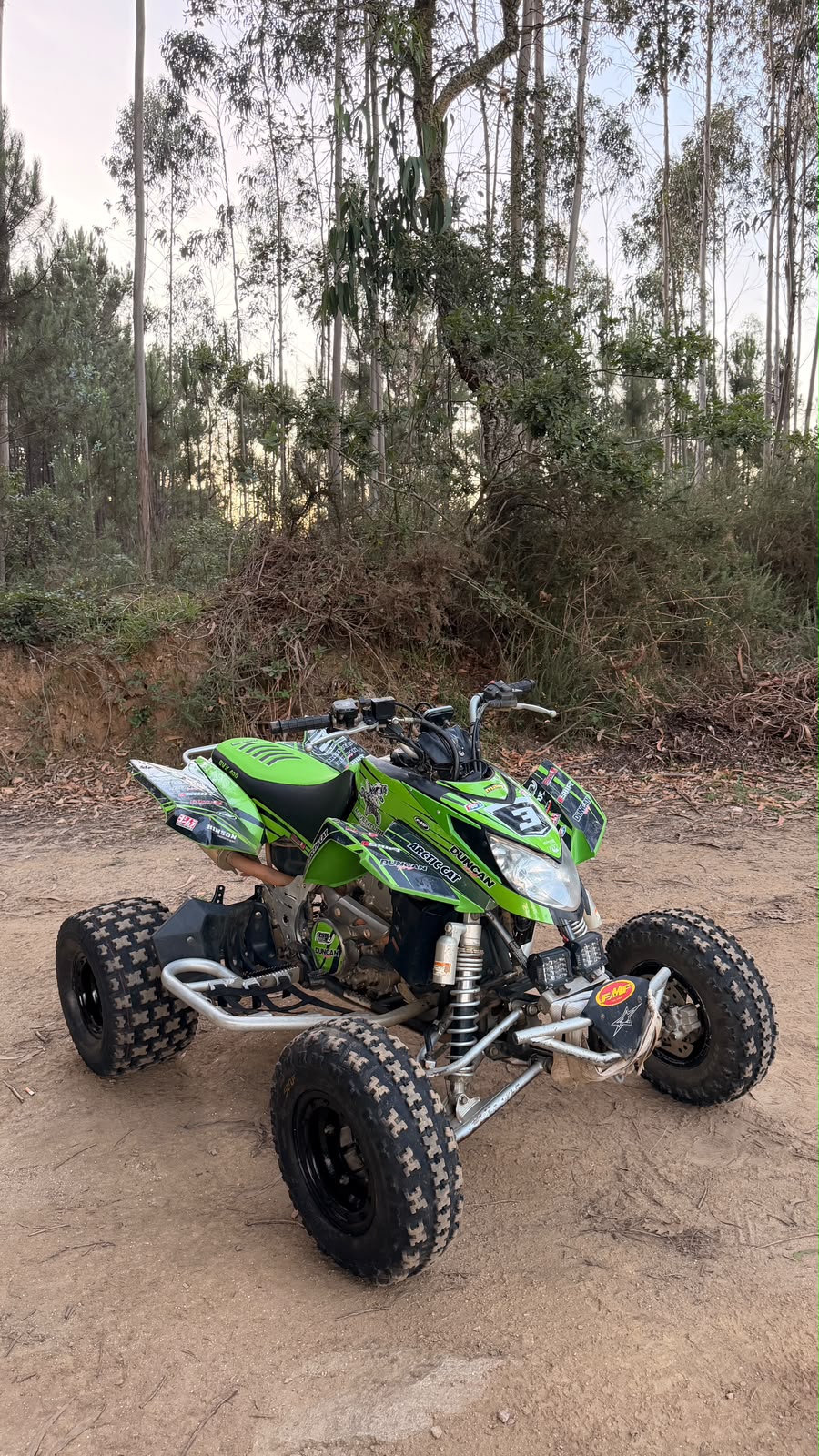 Arctic Cat DVX 400